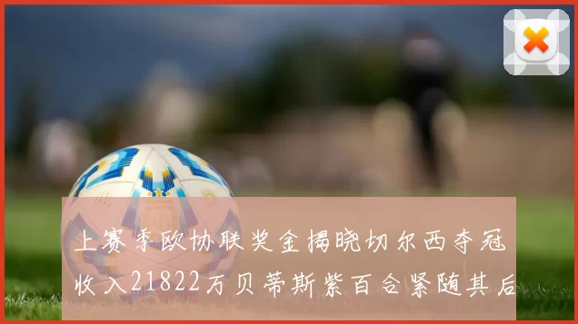 上赛季欧协联奖金揭晓切尔西夺冠收入21822万贝蒂斯紫百合紧随其后